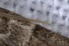 268060 – Photo : Patrick ORVANE – France (02)